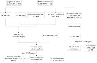 Aberrantly Methylated-Differentially Expressed Genes Identify Novel Atherosclerosis Risk Subtypes